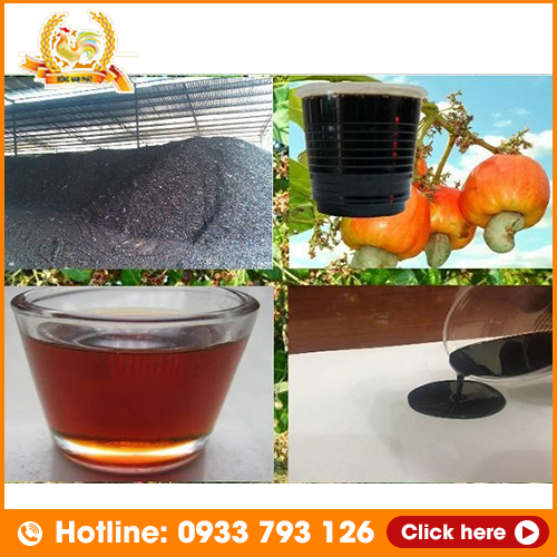 Dầu Vỏ Điều